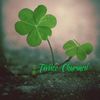 TwiiceCharmed