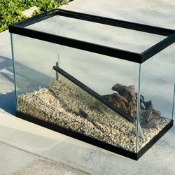 FREE 20 gal Glass Aquarium + supplies