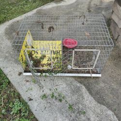 Chicken Cage For Transport And Chicks