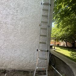 Gorilla Ladder 