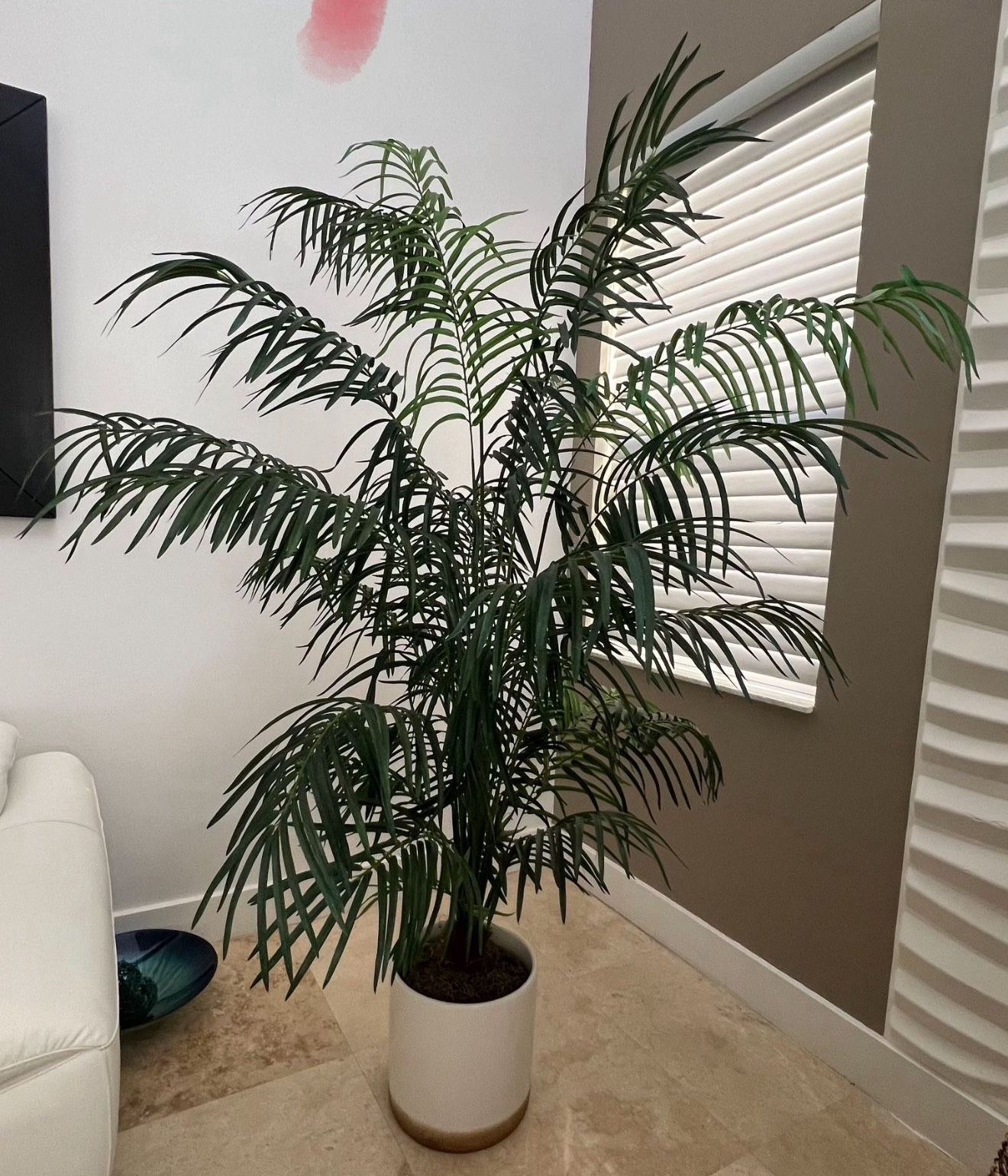 Fake Plant 