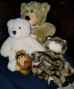 Teddy Bear Lot