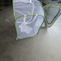Butterfly Cages And Milkweed 15 For 2 Cages And $8 For Milkweed Plant Each