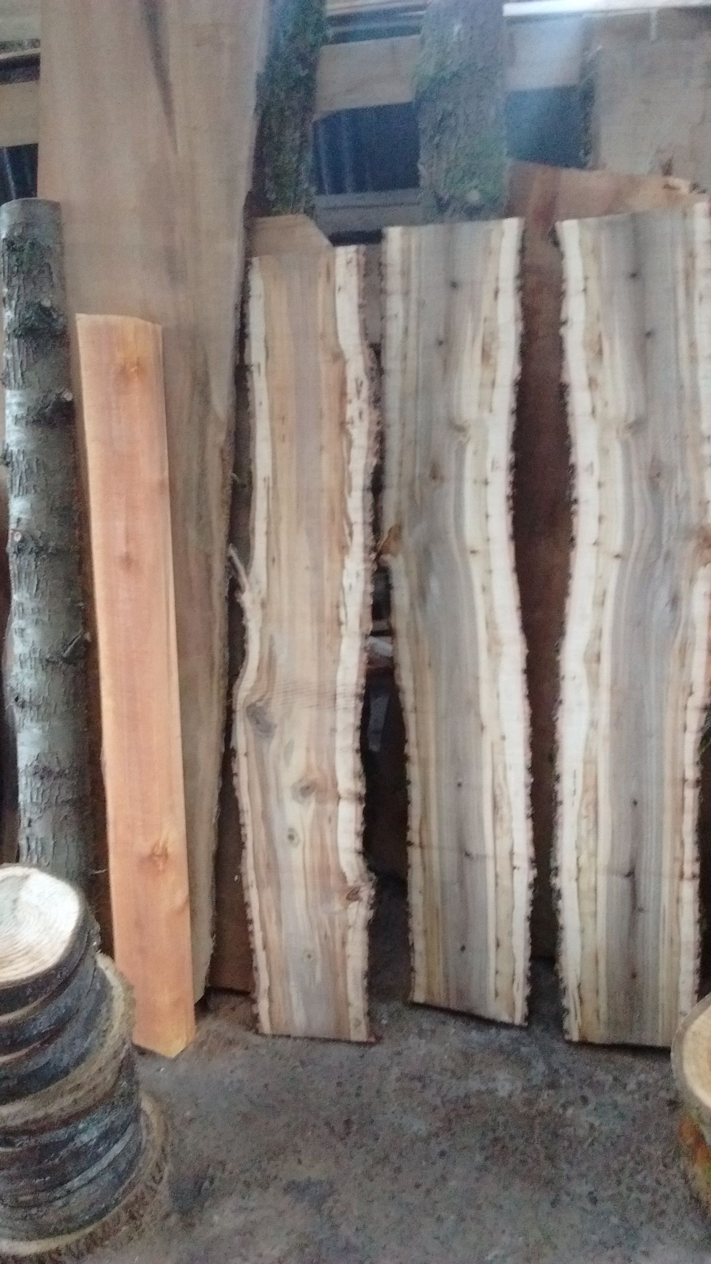 Spalted Maple Slabs 10-12" wide x 2" thick x 58"