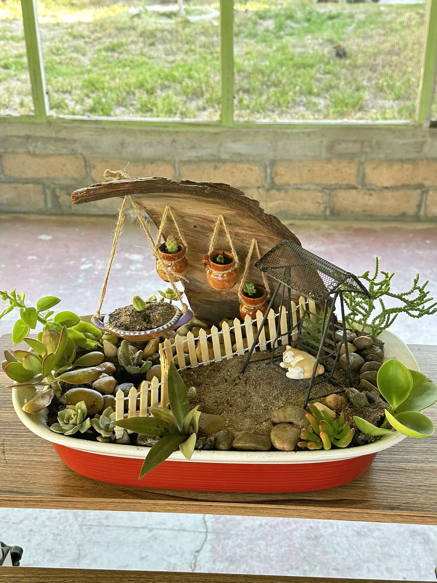 Succulent Arrangement