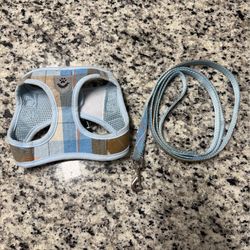 Size Small Dog Harnes and matching leash