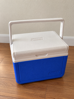 Mini Cooler