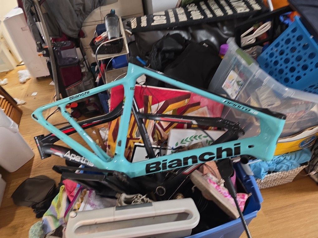 Bianchi Frame