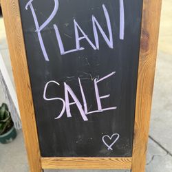 Plant Sale