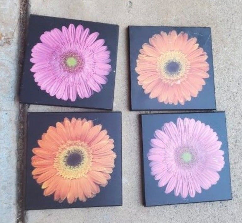4 Floral Wall Pictures 