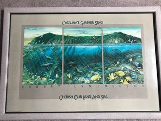 Framed Robert Nelson Print Titled "Catalina's Summer Seas"