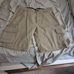 Dickies  Shorts 