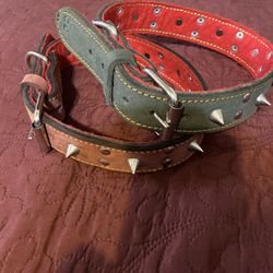 Genuine, Leather Dog Collar, And leather vest