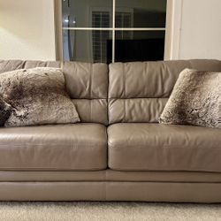 Plush Convertible Pullout Couch (sofa bed mattress never used)