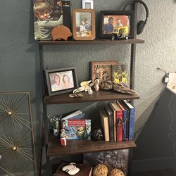 Book Shelf- Ladder Style