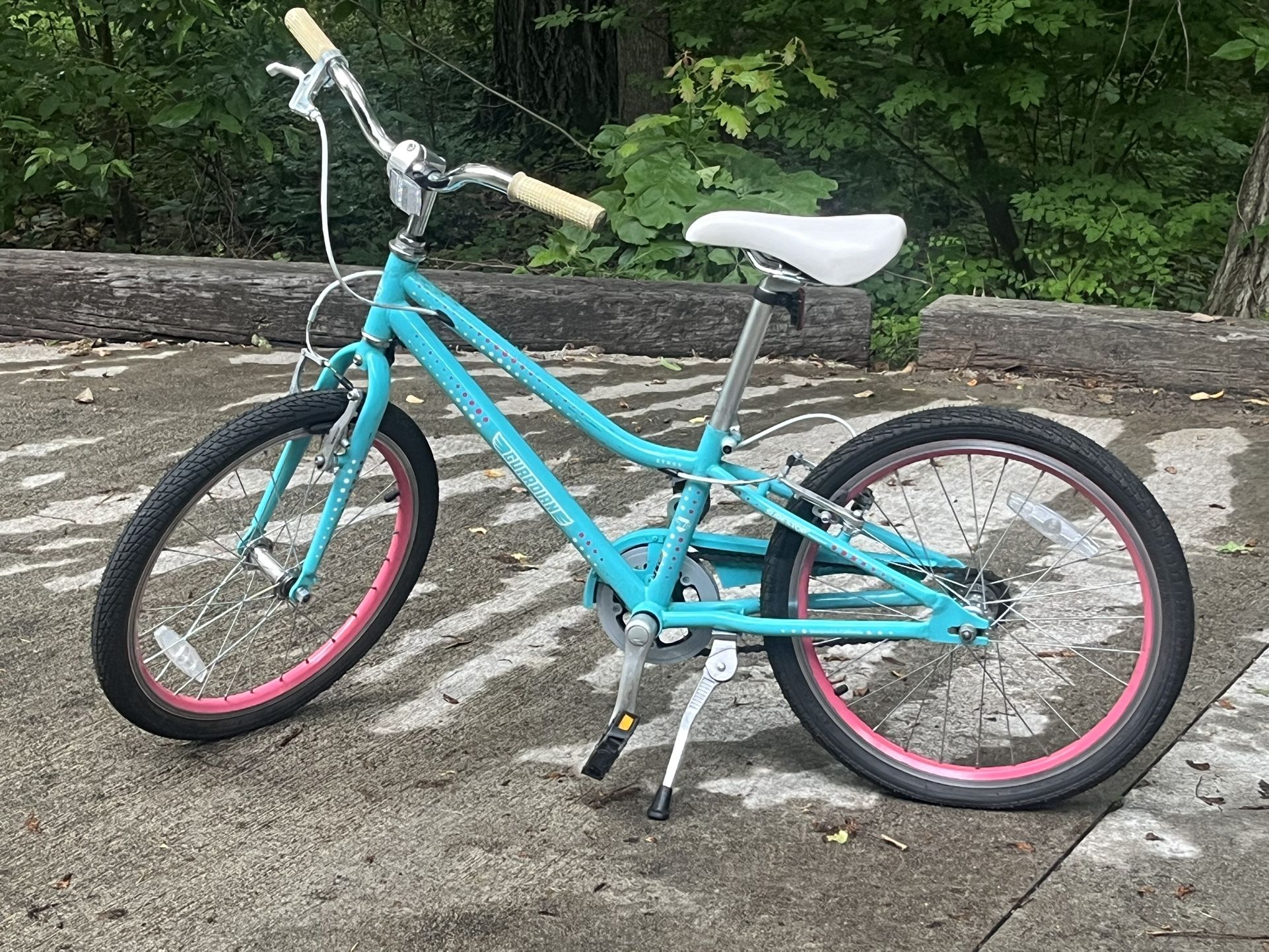 18” Guardian Teal Bike