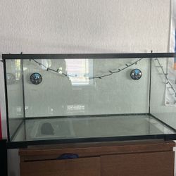 40 Gallon Reptile Tank And Acsessories