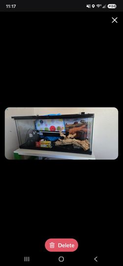 Reptile tank $150 OBO