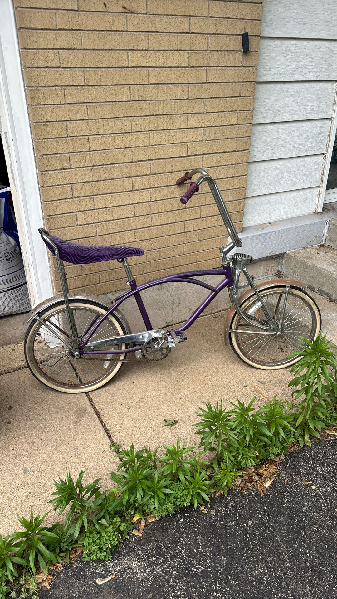 Schwinn Brats Lowerider Bike