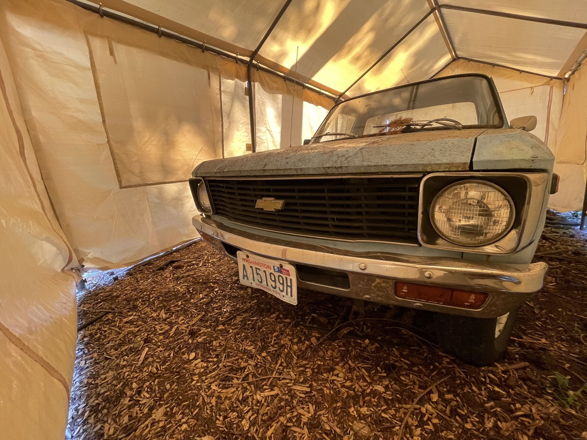 1980 Chevy LUV