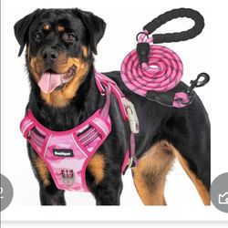 Harness with leash