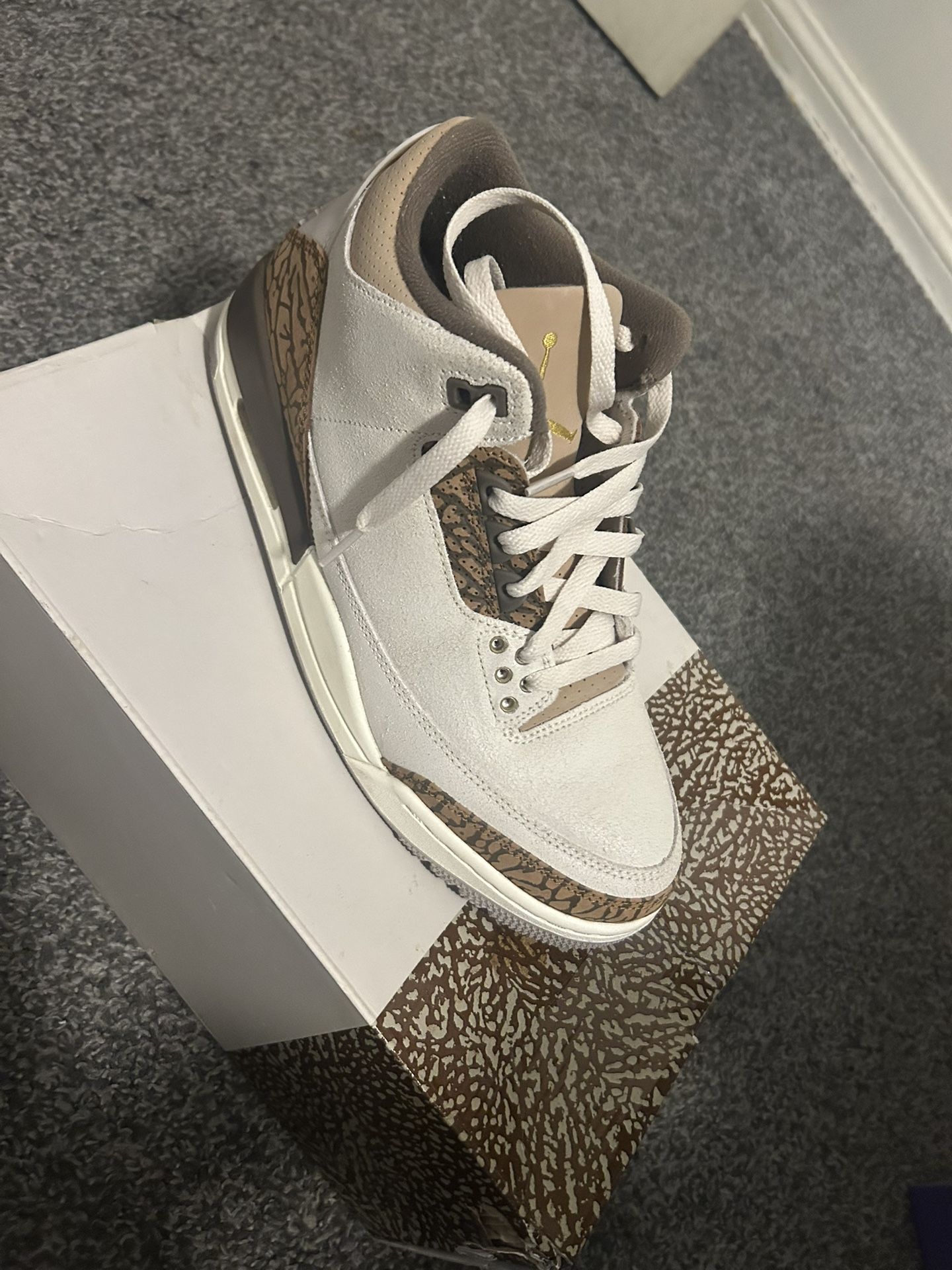 Men Retro 3s Size 8.5