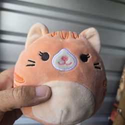 Squishmallows Kitty Cat Plush 