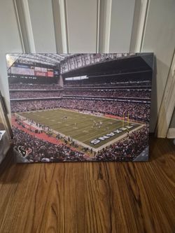 Houston Texans canvas wall art
