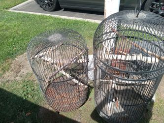 Two iron cage for birds