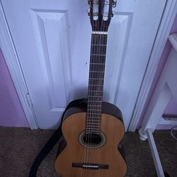 Acoustic Guitar 