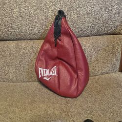 Everlast Speed Bag