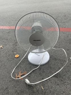 Fan