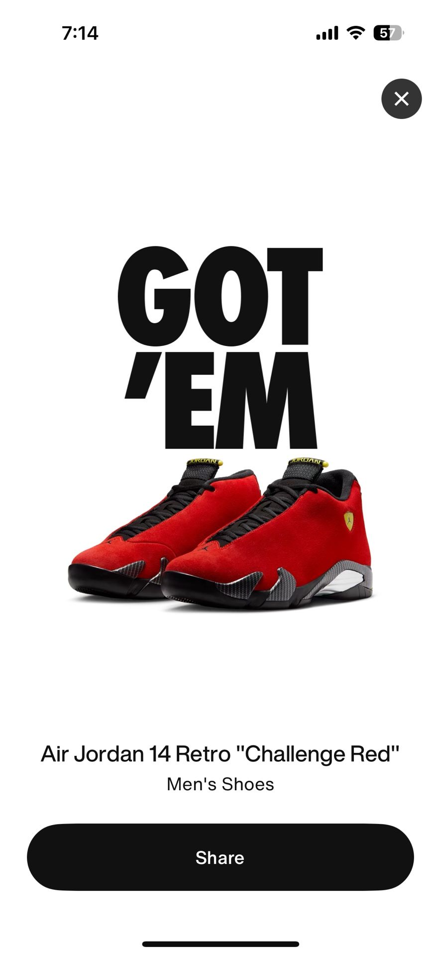 Nike Jordan 14