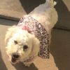 Betty O