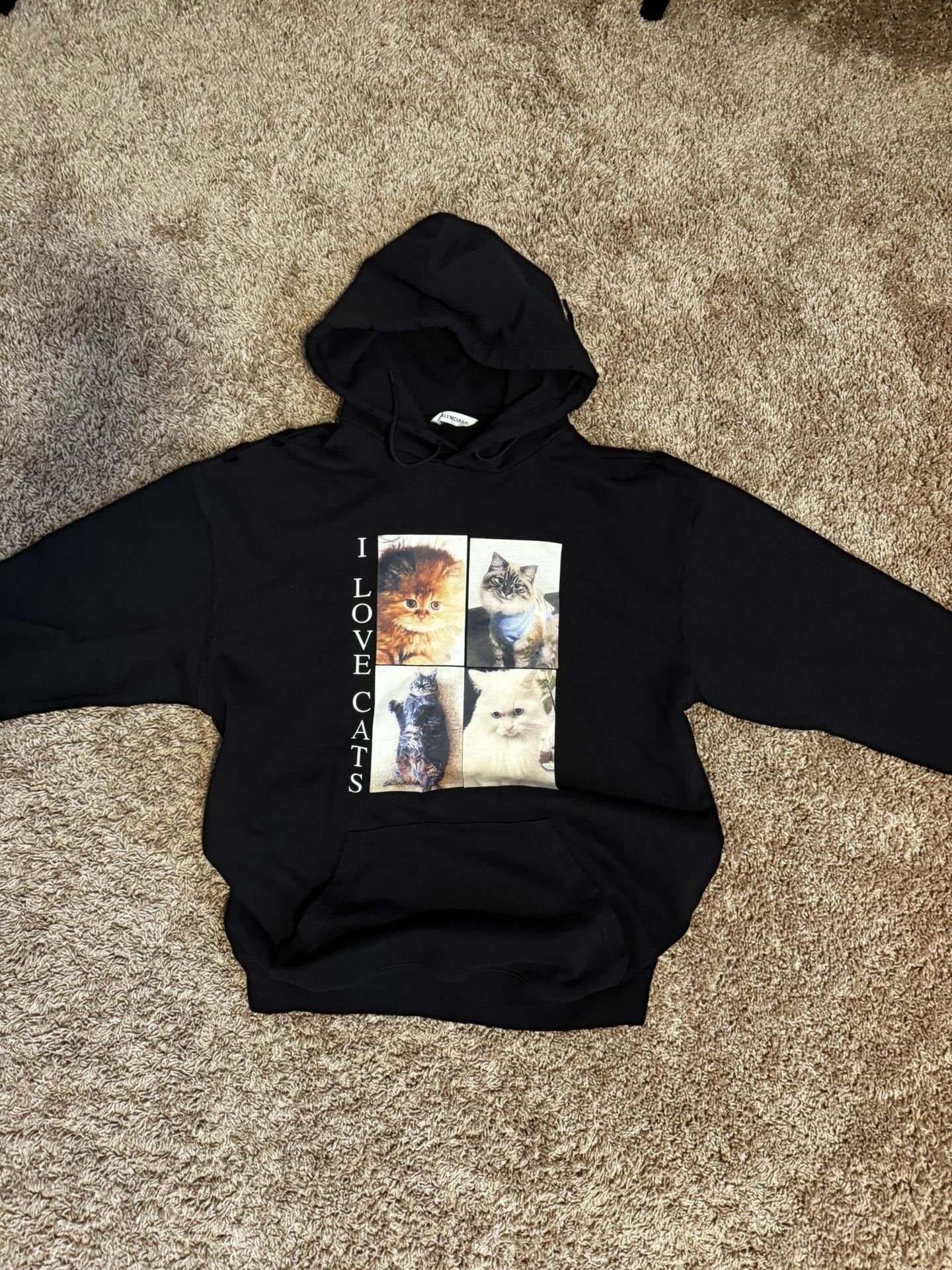 Balenciaga “I love cats” Hoodie