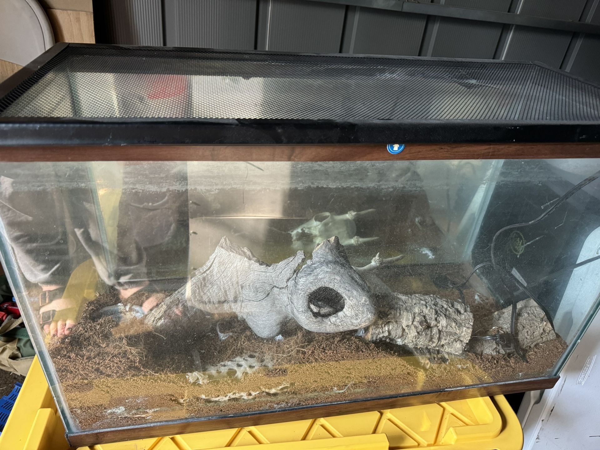 Reptile Tank