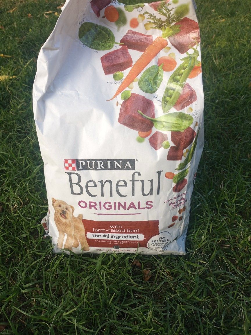 Food For Dogs