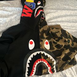 Bape Multicolor Hoodie 