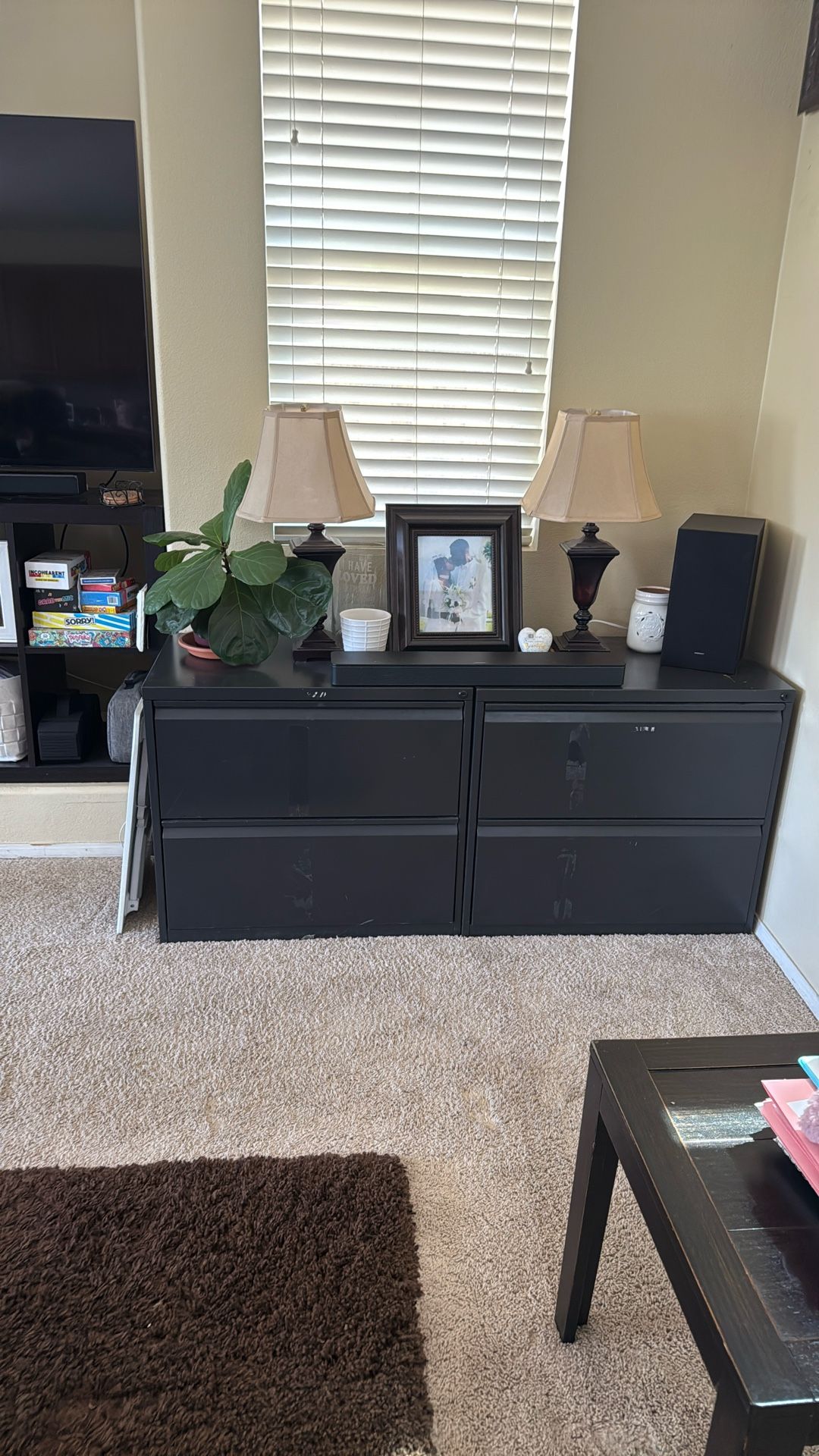 2 Heavy duty file cabinets