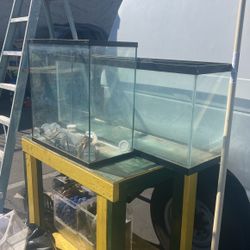 Fish Tanks And Reptiles 