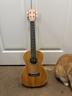 Ukulele