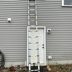 Telescoping Ladder 12ft 