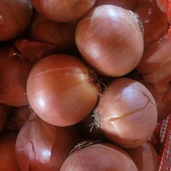 Onion 50 Lb.  $28. Half bag $15