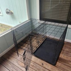 Dog Crates 