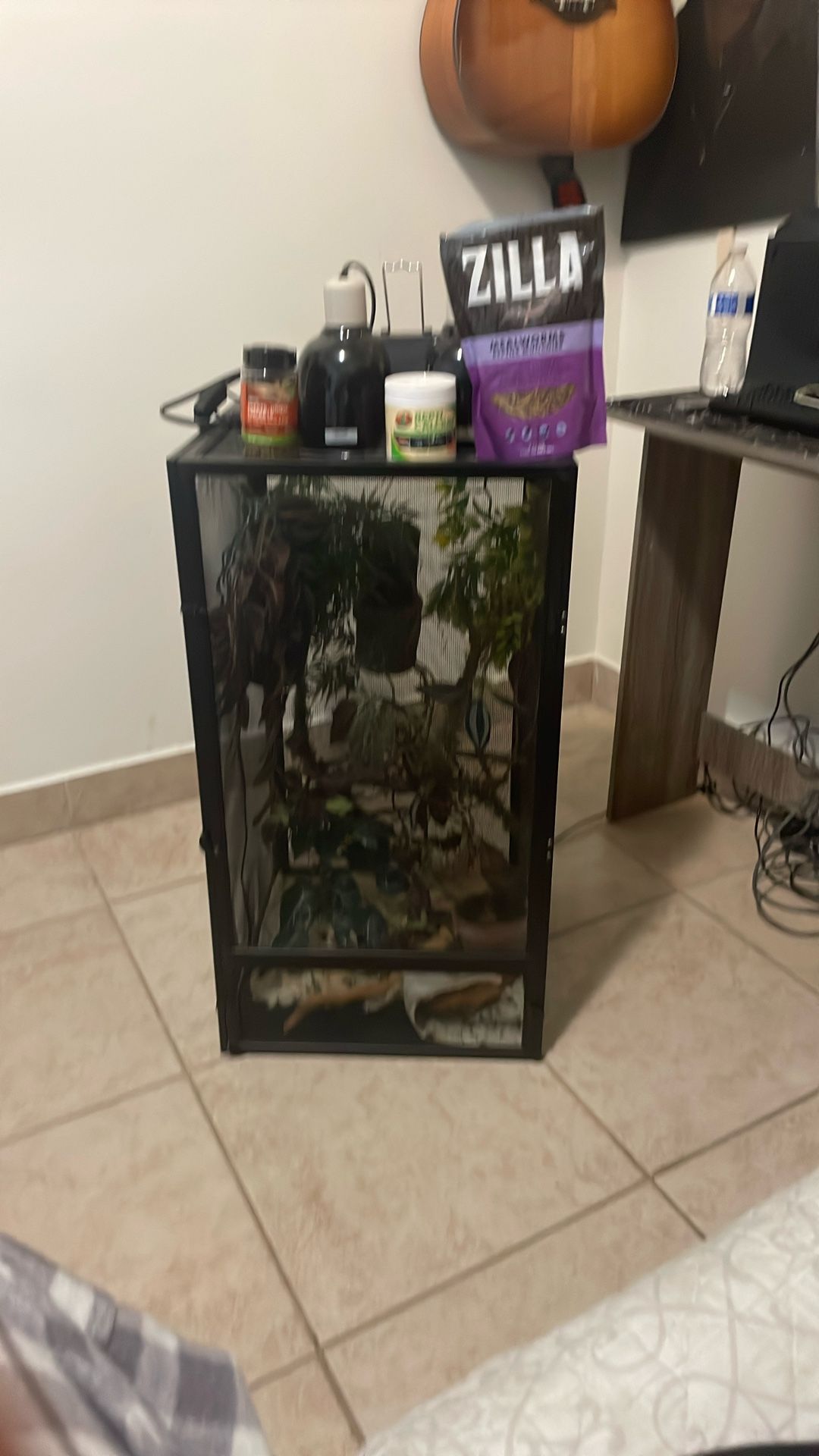 Chameleon cage little dirty