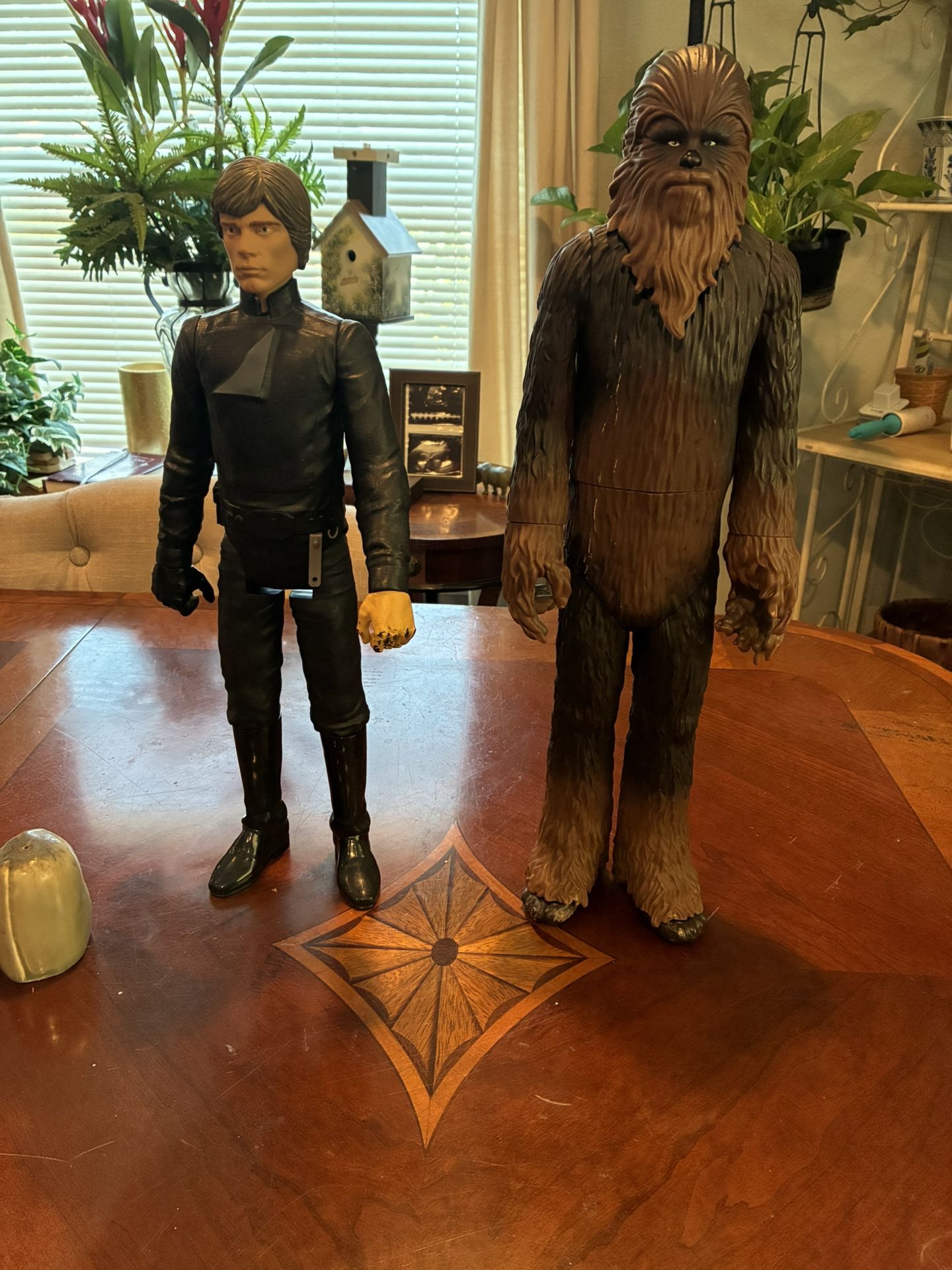 Luke Skywalker and Chewbacca