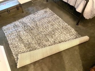 Gray Shag Rug