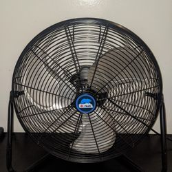 Fan