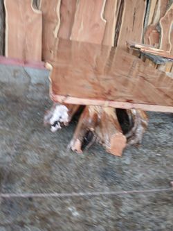 CEDAR FURNITURE AND SLABS