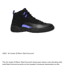 Jordan 12 